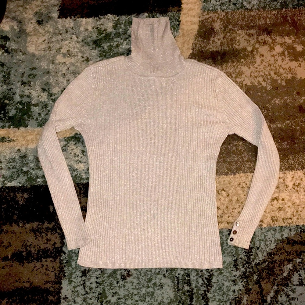 Gray/silver turtleneck sweater